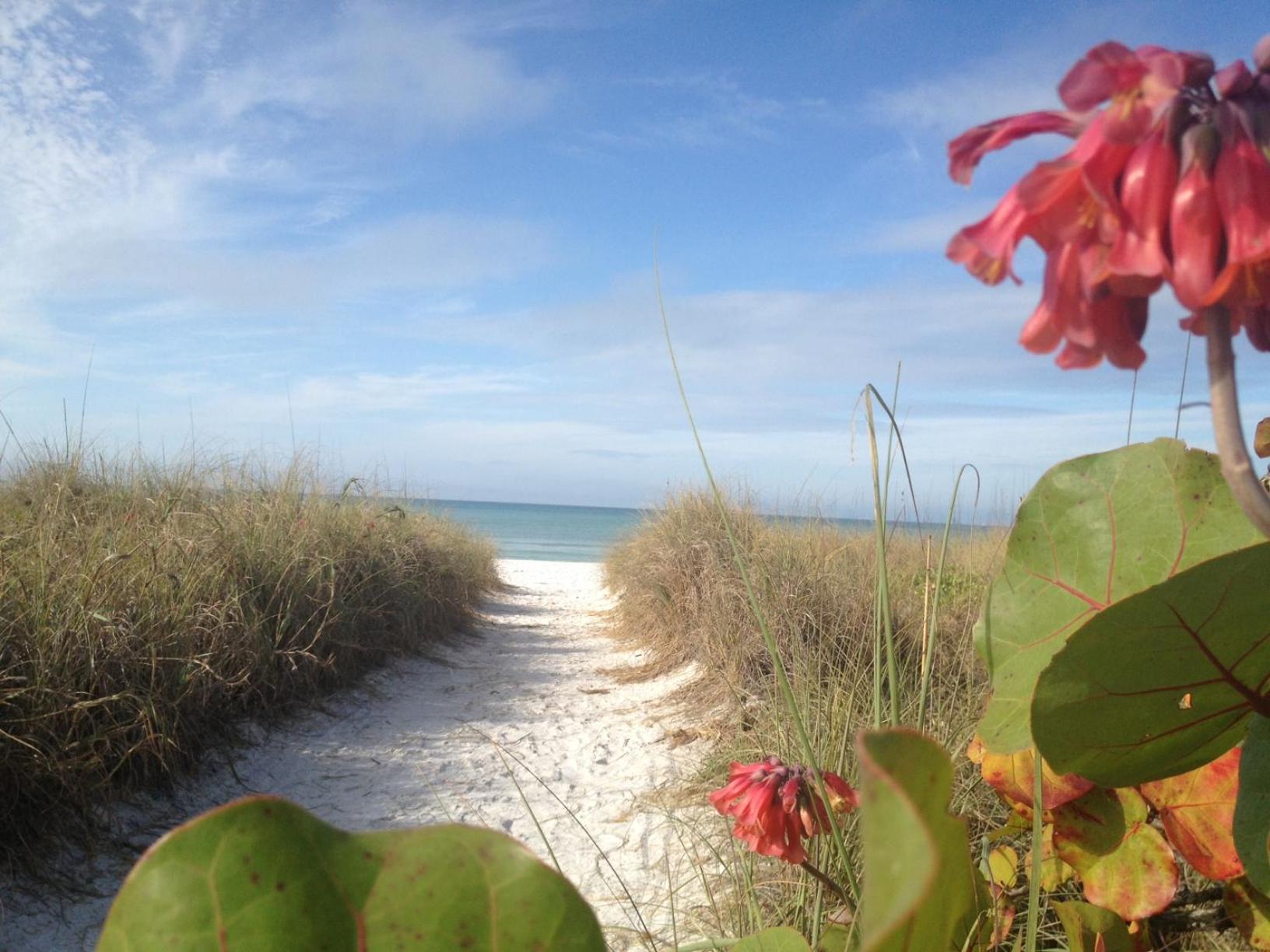 Siesta Key Inn المظهر الخارجي الصورة